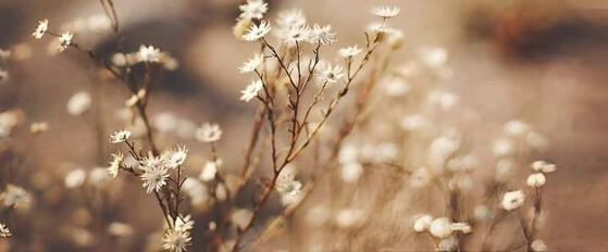 my blog, aka heavenlydollwrites, is available to anybody and is built on self-expression. this blog is for fun. please be kind when interacting. i post content that might be NSFW. ྀི ₊ ❤︎